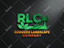 do stunning business logo design, redesign and branding