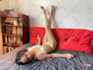 do professionally  photo edit,skin and hair retouch,backround blur,colourgrade