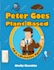design redesign clone, photography, restaurant, plumbing, blog wordpress website
