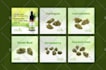 do lawn care door hanger design, postcard, real estate epk, business flyer