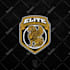 design tactical illustration for patch or sticker