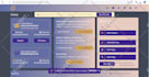 do ai website development and ai app development