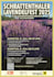 design an illustrated event poster or any poster, flyer