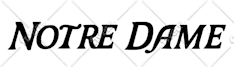 make a funny and unique bootleg logo parody