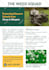 design professional business promotion flyer