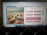 built wix website, redesign wix