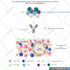 design your scientific and medical figures on biorender