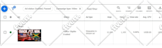 do organic youtube video promotion with google ads
