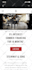 do business wordpress website design, redesign and development