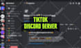 do discord server setup for you