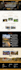 do wordpress avada theme customization to build a professional business website