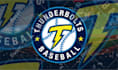 do baseball, basketball, soccer, football, hockey, all leagues, club sports logo