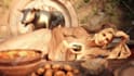 create high quality 3d character illustrations for fantasy, sci fi, concept art