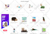 build amazon affiliate autopilot website with 10k products