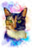 draw pet portrait in different rainbow styles