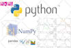 write a python script to process files csv, excel with pandas and numpy