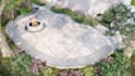 design your landscape or outdoor environment, 3d modeling