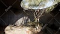 create realistic environments for your unreal engine project