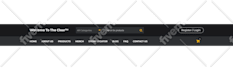 design a stunning website or wordpress website design