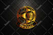 design professional 3d logo with copyrights in 24hrs