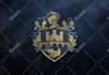 design vintage or family crest logo design