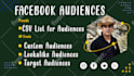 create custom and lookalike audience, audience list CSV for fb ads