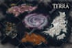 create your fantasy map for dnd
