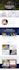 design a professional wordpress website for your business