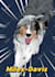 draw a pet portrait within 24h