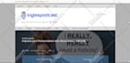 design wordpress website responsive and SEO friendly