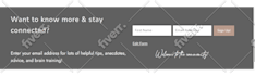add mailchimp sign up form within 1 hour