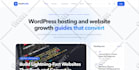 webdesign wordpress website responsive and custom business website development
