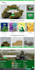 wordpress business or ecommerce woocommerce website