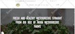 design professional wordpress website using elementor pro