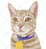 draw your pet into amazing realistic cartoon style