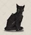 draw your warrior cats
