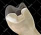 do medical, dental and scientific illustrations for you