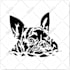 make a reusable plastic stencil of your pet