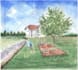 draw illustration of your house
