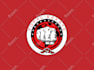 design an eye catching karate, martial arts logo