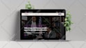 do professional wordpress website design and development