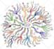 create colorful mind or concept map within 24 hours