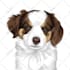 draw minimalist realistic pet vector art