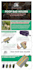 design amazon enhanced brand content ebc a plus