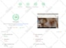 boost wix website speed in 24h and fix core web vitals