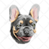 draw a cartoon for your pets in 24 hour