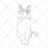 draw custom pet portrait in line art vector illustration