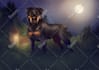 illustrate your fantasy dnd monsters and creatures