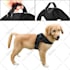 do photoshop creative editing