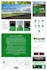 design a professional wordpress website with elementor pro